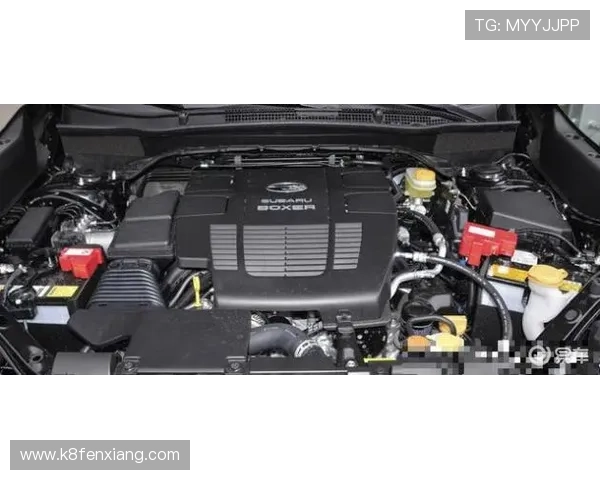 全面解析J9真人游戏第一的特色玩法与丰富的游戏内容满足不同玩家需求