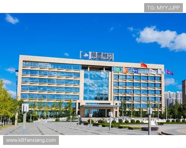 凯发体育集团网址查询常见问题解答及官方入口安全验证技巧